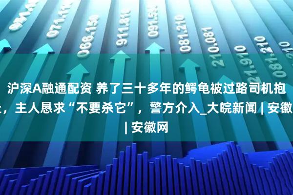 沪深A融通配资 养了三十多年的鳄龟被过路司机抱走，主人恳求“不要杀它”，警方介入_大皖新闻 | 安徽网