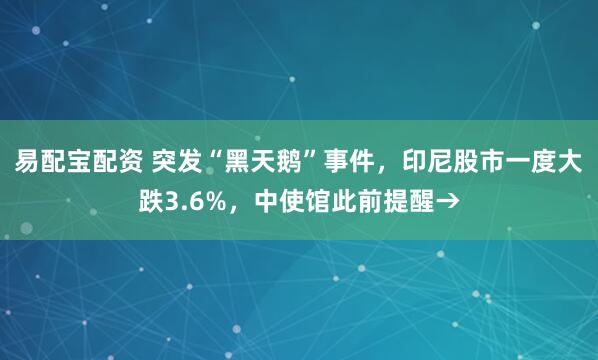 易配宝配资 突发“黑天鹅”事件，印尼股市一度大跌3.6%，中使馆此前提醒→