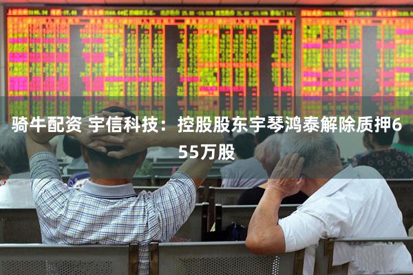 骑牛配资 宇信科技：控股股东宇琴鸿泰解除质押655万股