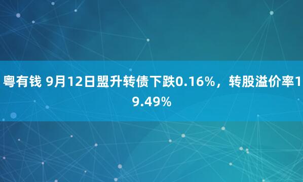 粤有钱 9月12日盟升转债下跌0.16%，转股溢价率19.49%