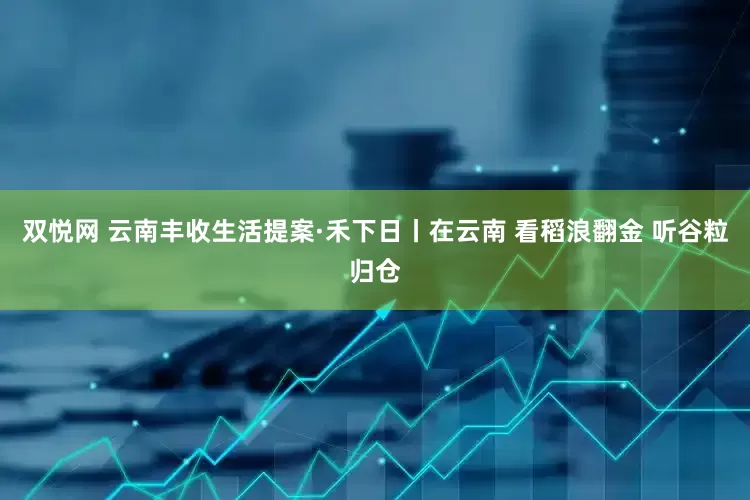 双悦网 云南丰收生活提案·禾下日丨在云南 看稻浪翻金 听谷粒归仓