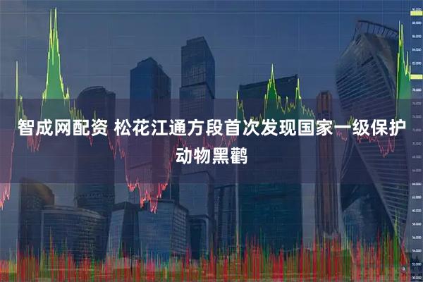 智成网配资 松花江通方段首次发现国家一级保护动物黑鹳