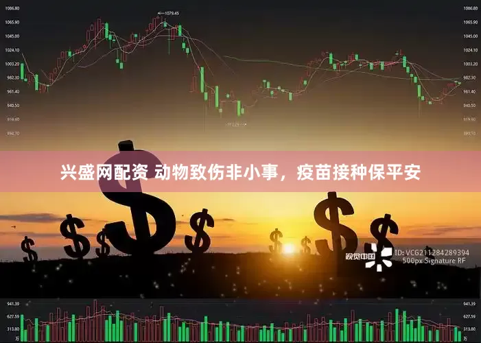 兴盛网配资 动物致伤非小事，疫苗接种保平安